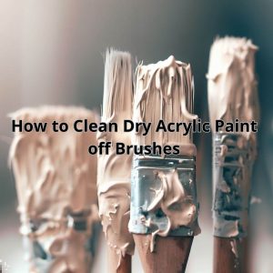 Read more about the article How to Clean Dry Acrylic Paint off Brushes: The ultimate guide