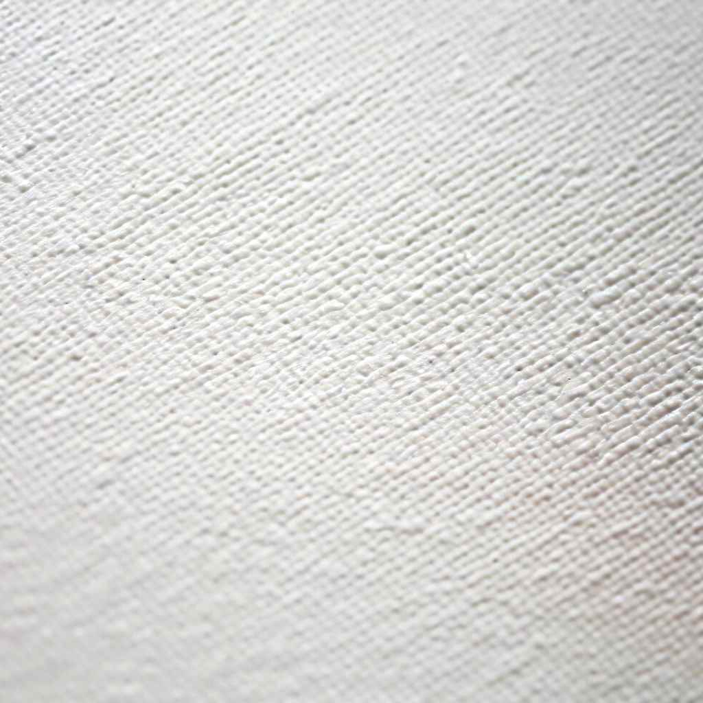 Reference image for Primed canvas
