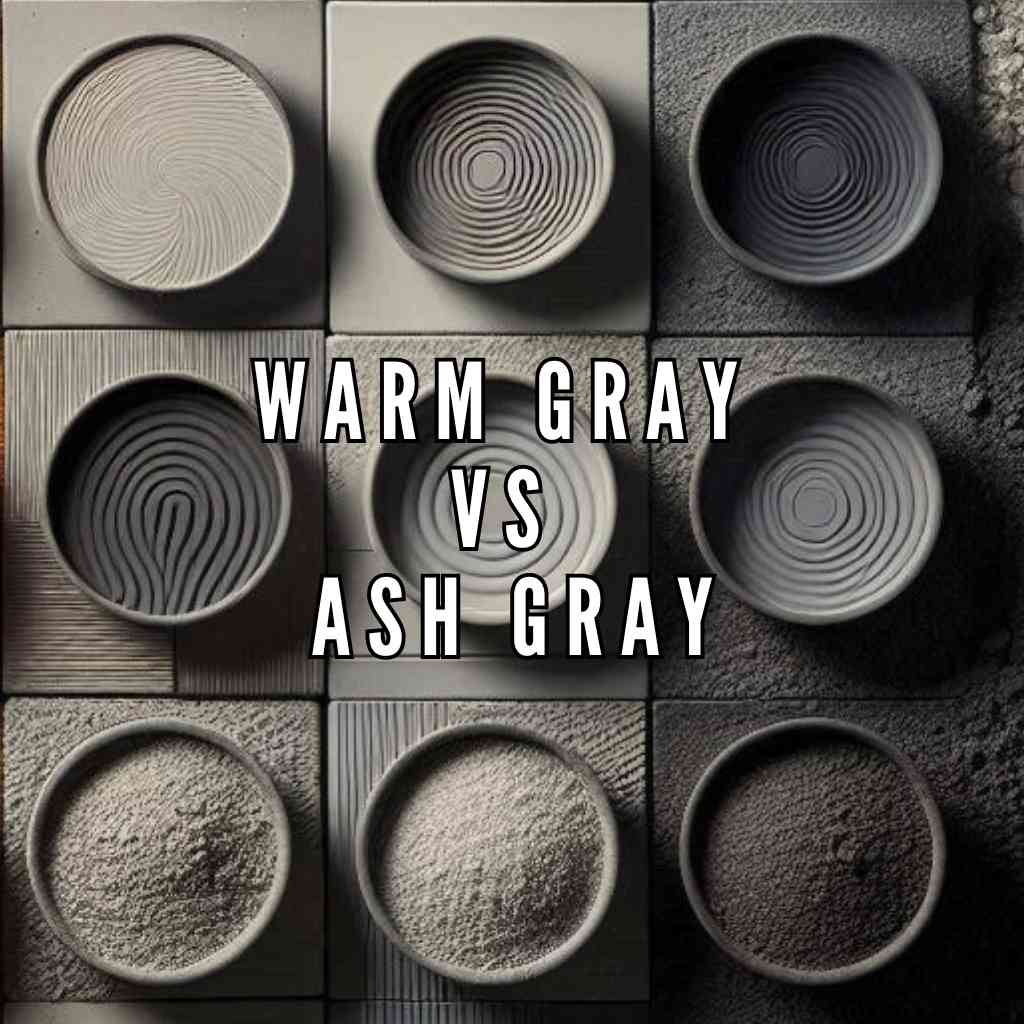 Read more about the article The Clash of Tones: Warm Gray vs Ash Gray 